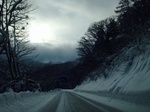 IMG_2552.jpg
